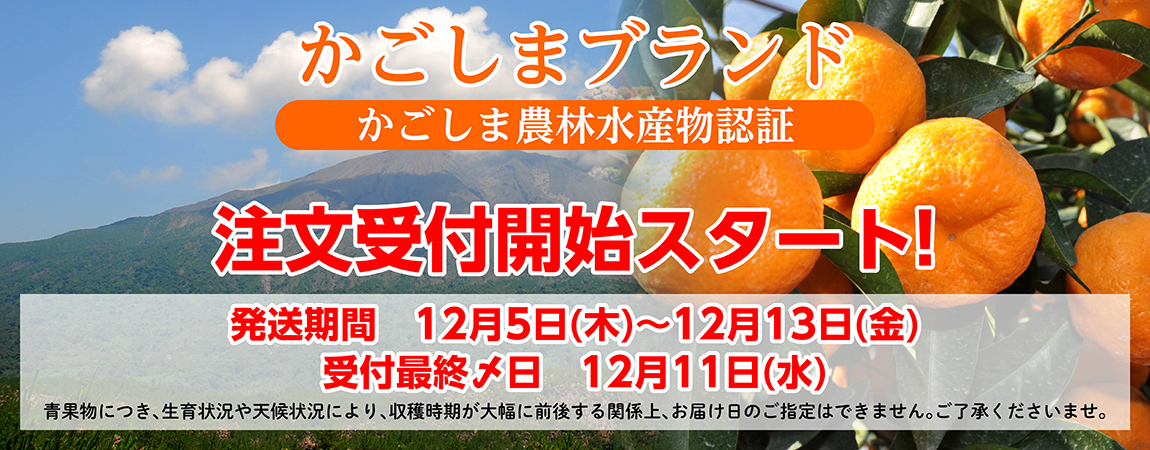 桜島小みかん受付開始